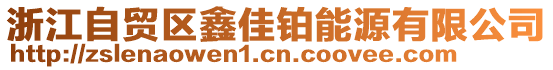 浙江自贸区鑫佳铂能源有限公司