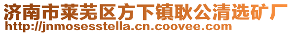 濟(jì)南市萊蕪區(qū)方下鎮(zhèn)耿公清選礦廠