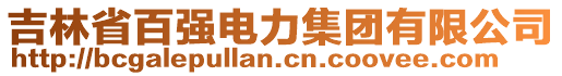 吉林省百強電力集團有限公司