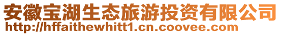 安徽宝湖生态旅游投资有限公司