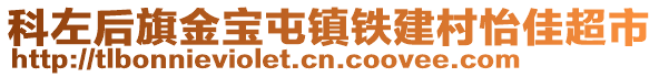 科左后旗金寶屯鎮(zhèn)鐵建村怡佳超市