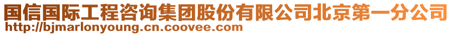 國(guó)信國(guó)際工程咨詢集團(tuán)股份有限公司北京第一分公司