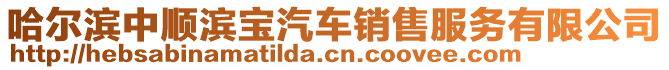 哈尔滨中顺滨宝汽车销售服务有限公司