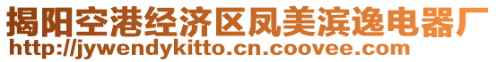 揭陽空港經(jīng)濟區(qū)鳳美濱逸電器廠