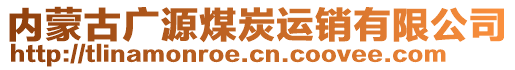 內(nèi)蒙古廣源煤炭運銷有限公司