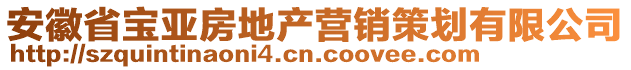 安徽省寶亞房地產(chǎn)營(yíng)銷(xiāo)策劃有限公司