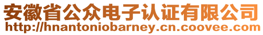 安徽省公眾電子認(rèn)證有限公司