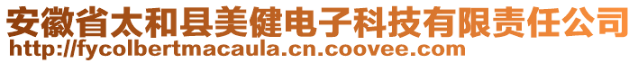 安徽省太和縣美健電子科技有限責(zé)任公司