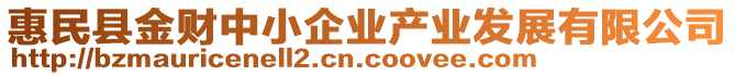 惠民縣金財中小企業(yè)產(chǎn)業(yè)發(fā)展有限公司