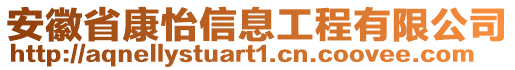 安徽省康怡信息工程有限公司