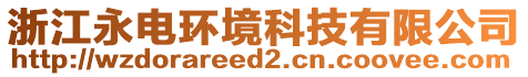 浙江永電環(huán)境科技有限公司