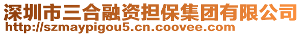 深圳市三合融資擔保集團有限公司