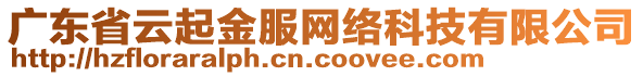 廣東省云起金服網(wǎng)絡(luò)科技有限公司