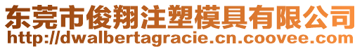 东莞市俊翔注塑模具有限公司