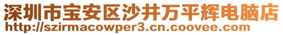 深圳市寶安區(qū)沙井萬(wàn)平輝電腦店