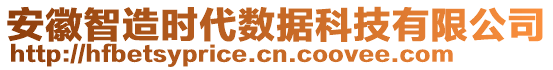 安徽智造時(shí)代數(shù)據(jù)科技有限公司