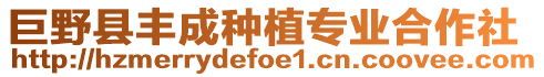 巨野县丰成种植专业合作社