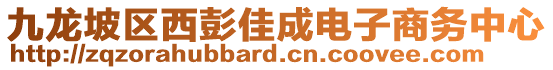 九龙坡区西彭佳成电子商务中心