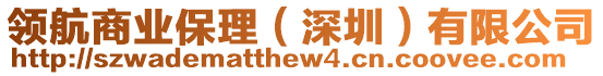 領(lǐng)航商業(yè)保理（深圳）有限公司