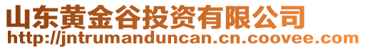 山东黄金谷投资有限公司