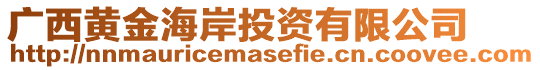 廣西黃金海岸投資有限公司