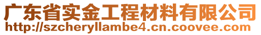 广东省实金工程材料有限公司