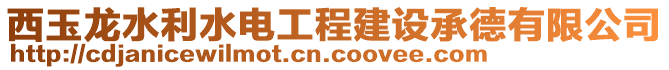 西玉龍水利水電工程建設(shè)承德有限公司