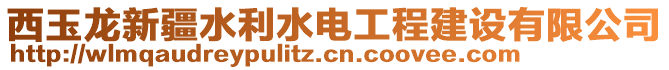 西玉龍新疆水利水電工程建設(shè)有限公司