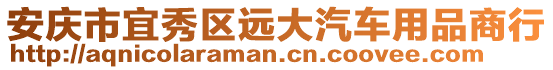 安慶市宜秀區(qū)遠大汽車用品商行