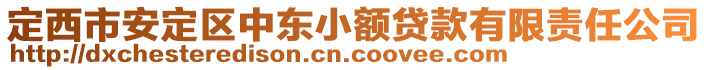 定西市安定區(qū)中東小額貸款有限責任公司