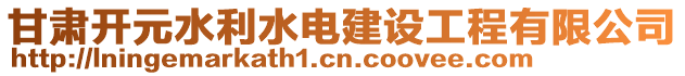 甘肅開元水利水電建設(shè)工程有限公司