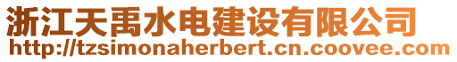 浙江天禹水電建設(shè)有限公司