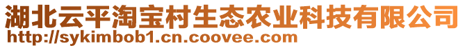 湖北云平淘寶村生態(tài)農(nóng)業(yè)科技有限公司