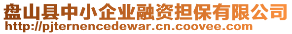 盤山縣中小企業(yè)融資擔(dān)保有限公司