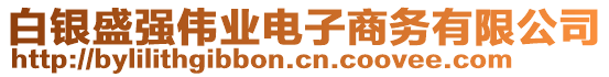 白银盛强伟业电子商务有限公司