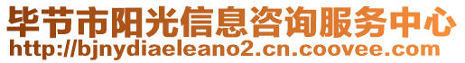 畢節(jié)市陽光信息咨詢服務中心