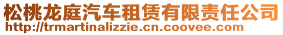 松桃龍庭汽車租賃有限責(zé)任公司