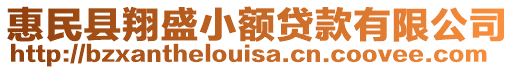 惠民縣翔盛小額貸款有限公司