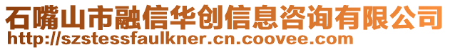 石嘴山市融信华创信息咨询有限公司