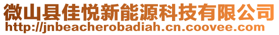 微山县佳悦新能源科技有限公司