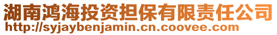 湖南鴻海投資擔(dān)保有限責(zé)任公司