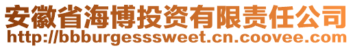 安徽省海博投資有限責(zé)任公司