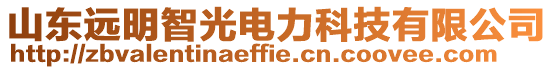 山東遠明智光電力科技有限公司