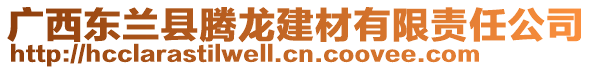 廣西東蘭縣騰龍建材有限責任公司