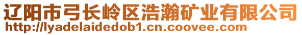 遼陽市弓長嶺區(qū)浩瀚礦業(yè)有限公司