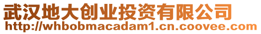 武漢地大創(chuàng)業(yè)投資有限公司