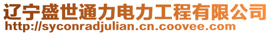 遼寧盛世通力電力工程有限公司