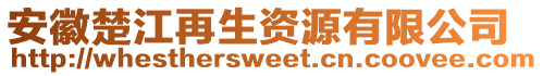 安徽楚江再生資源有限公司