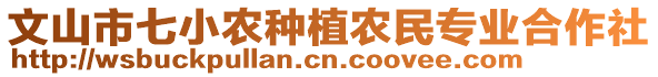 文山市七小農(nóng)種植農(nóng)民專業(yè)合作社