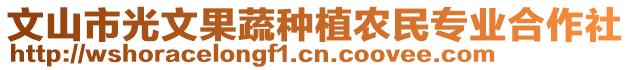 文山市光文果蔬種植農(nóng)民專業(yè)合作社